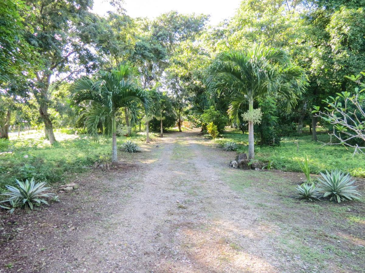 Cabanas Calakmul Vila Conhuas Exterior foto