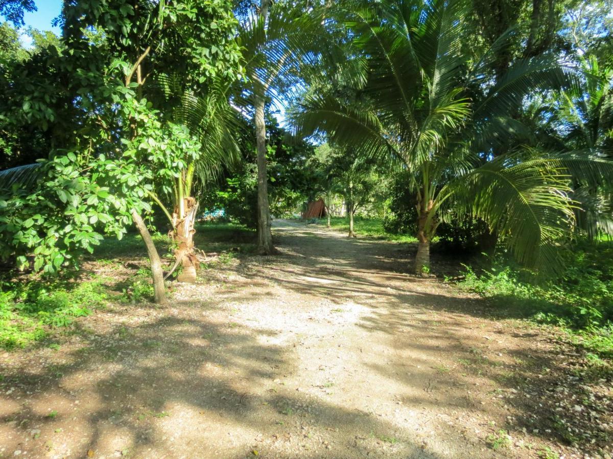 Cabanas Calakmul Vila Conhuas Exterior foto